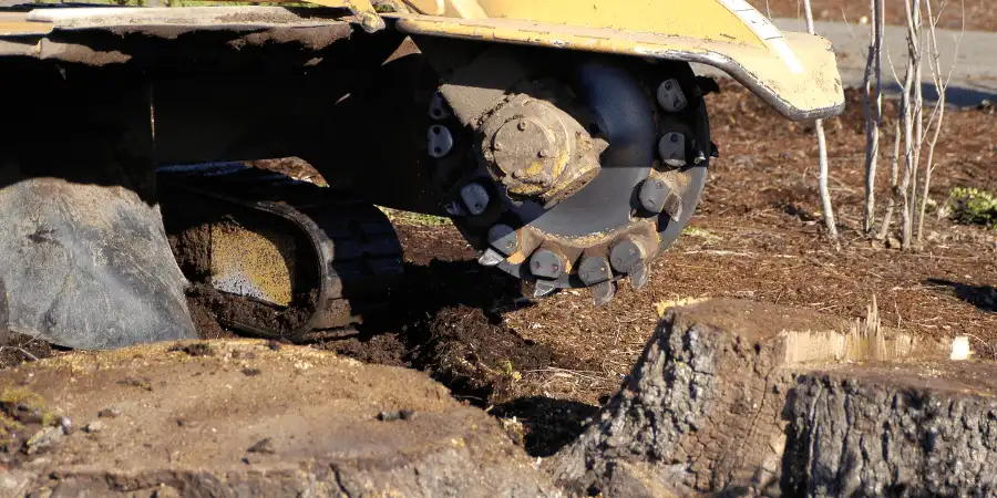 Stump Grinding Service In Pompano Beach, FL | Sunlight Landscape
