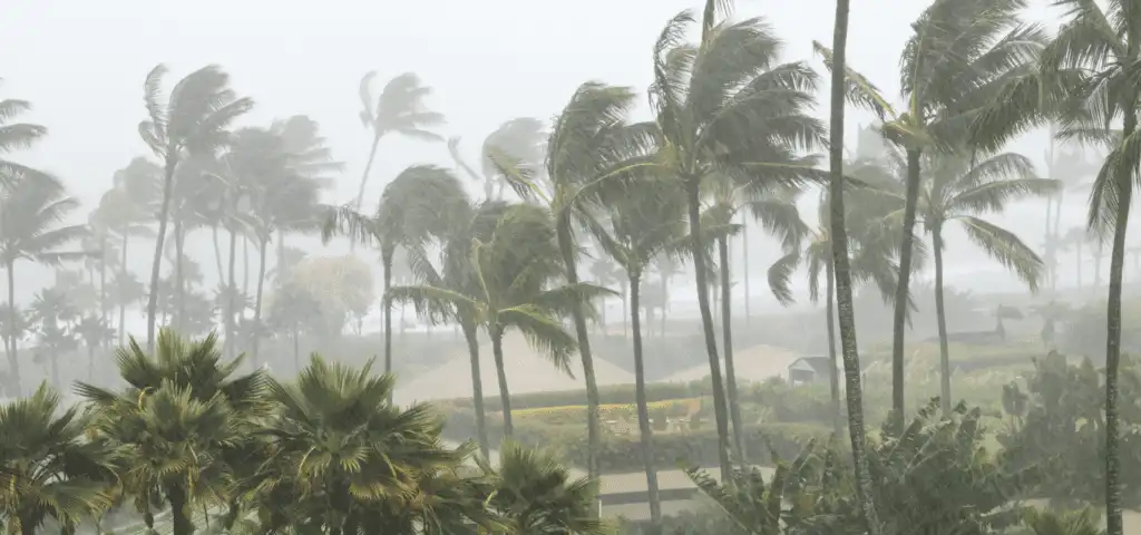 Hurricane Season | Sunlight Landscape