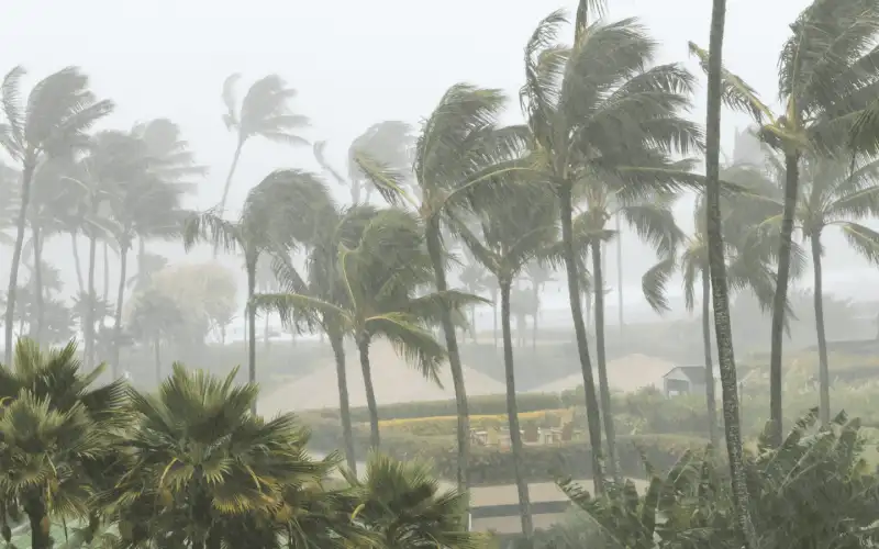 Hurricane Season Is Starting To Heat Up