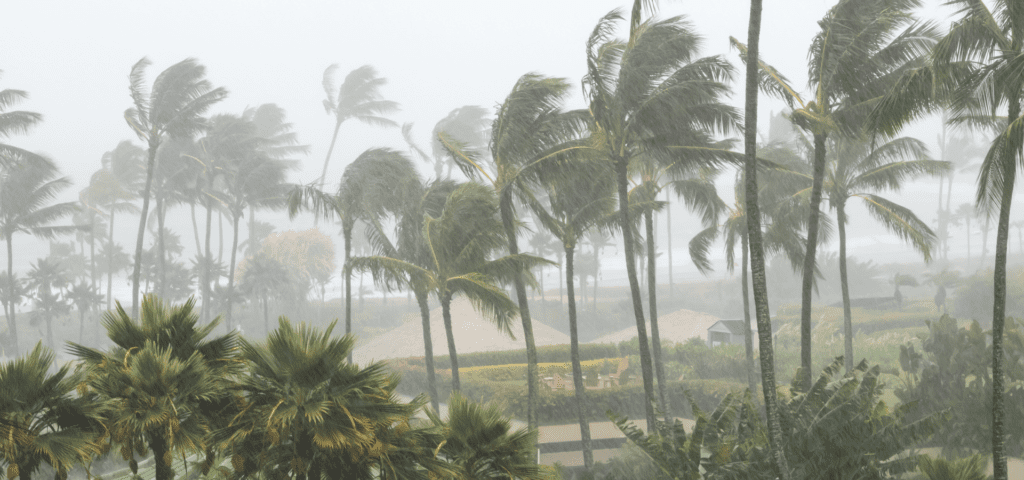Hurricane Season | Sunlight Landscape