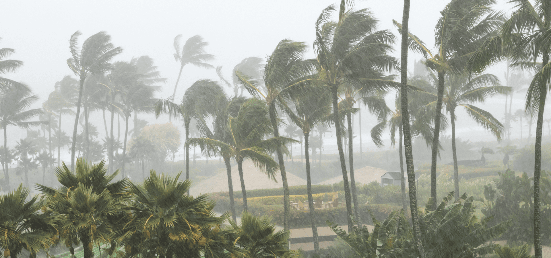 Hurricane Season | Sunlight Landscape