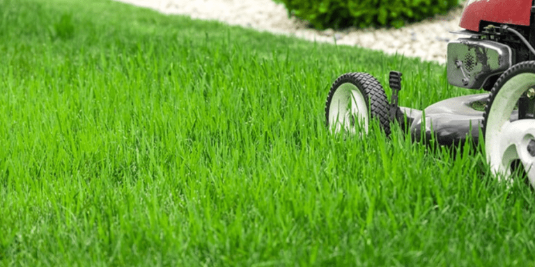 Lawn Mowing Services | Sunlight Landscape