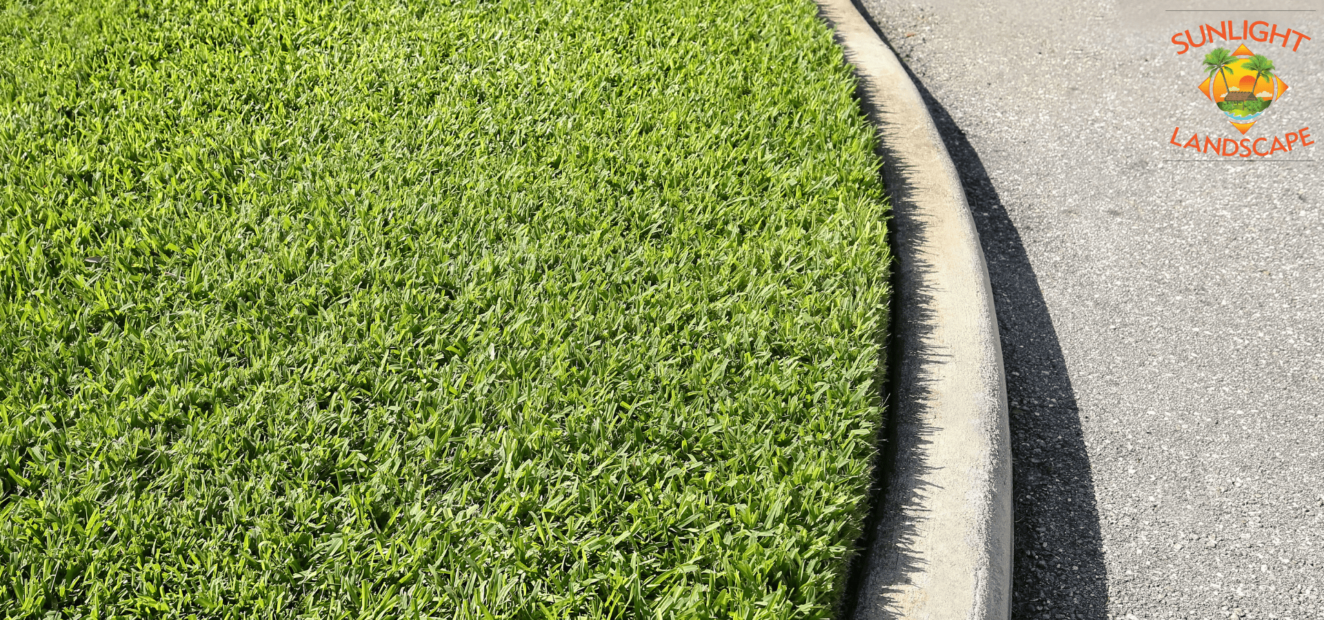 St. Augustine Grass | Sunlight Landscape