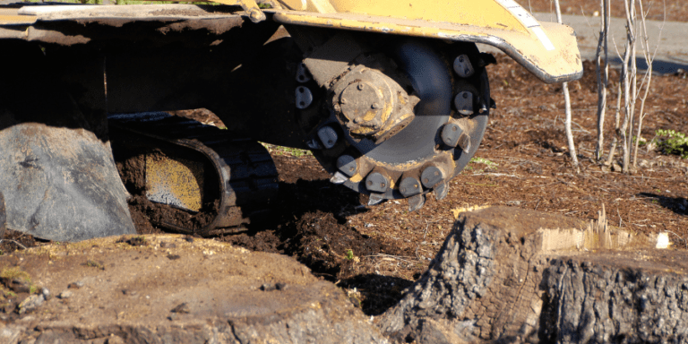 Stump Grinding Service In Pompano Beach, FL | Sunlight Landscape