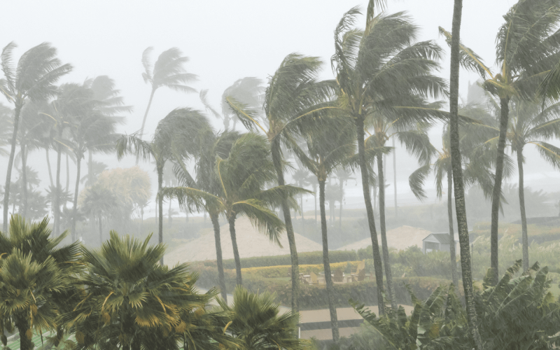 Hurricane Hurricane Season | Sunlight Landscape
